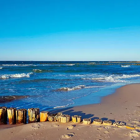 Apartment Sanddorn, Seetang Prerow