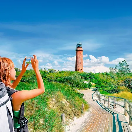 Sanddorn, Seetang Prerow