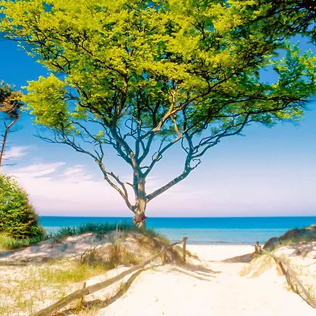 Sanddorn, Seetang Apartment *